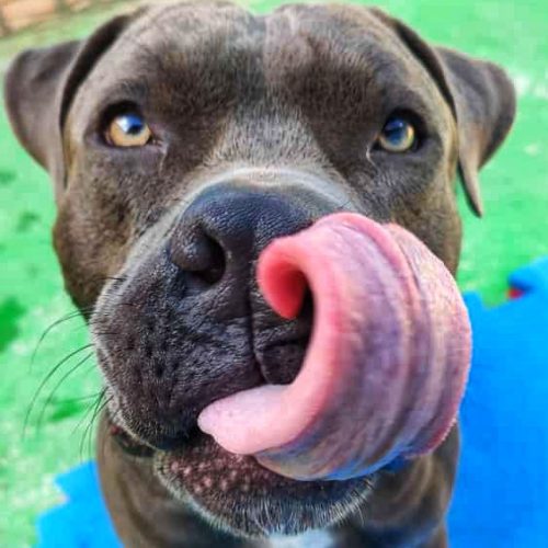 WhatsApp Image 2025-08-01 at 12.54.53