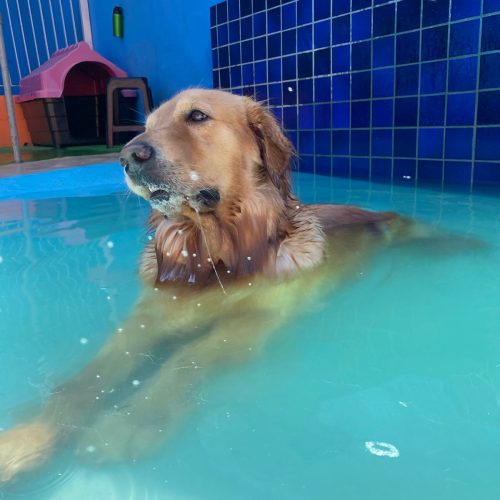 WhatsApp Image 2025-08-01 at 12.54.54