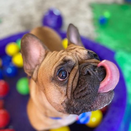 WhatsApp Image 2025-08-01 at 12.54.55 (1)