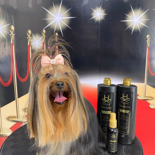 WhatsApp Image 2025-08-01 at 12.54.55 (2)