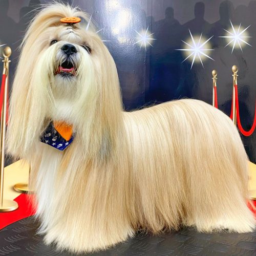 WhatsApp Image 2025-08-01 at 12.54.55