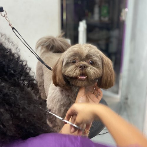 WhatsApp Image 2025-08-01 at 12.54.57 (1)