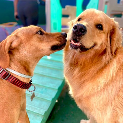 WhatsApp Image 2025-08-01 at 12.54.57 (2)