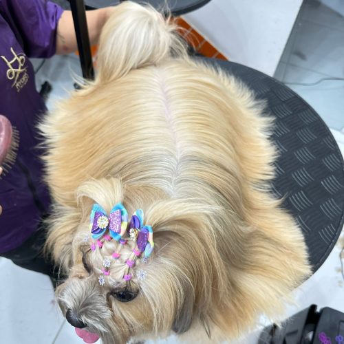 WhatsApp Image 2025-08-01 at 12.54.57