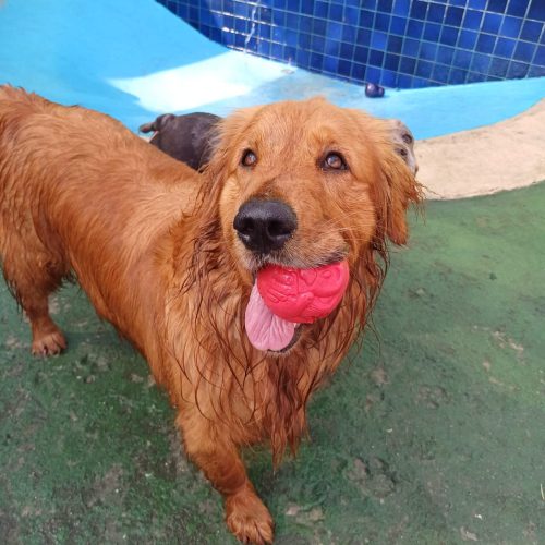 WhatsApp Image 2025-08-01 at 12.54.59 (1)