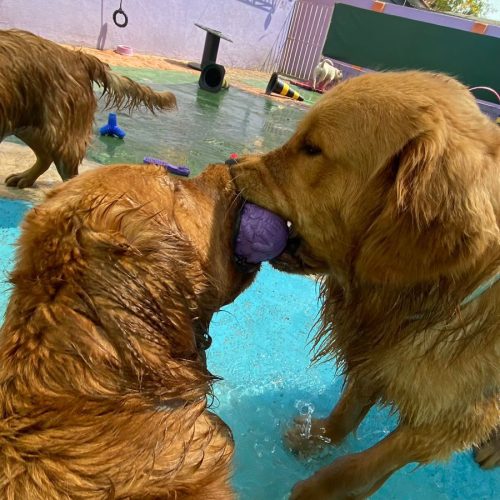 WhatsApp Image 2025-08-01 at 12.55.00 (1)