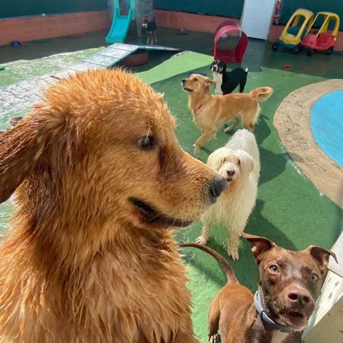 WhatsApp Image 2025-08-01 at 12.55.01 (1)