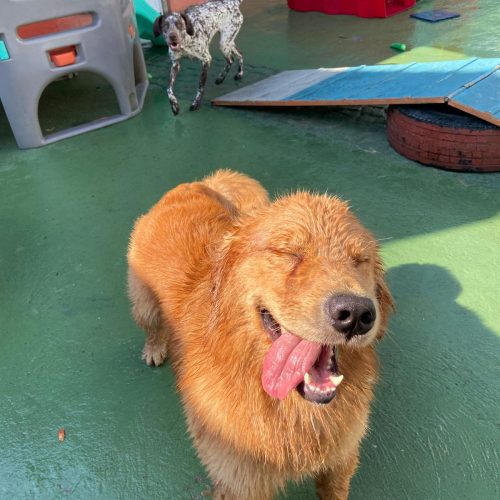 WhatsApp Image 2025-08-01 at 12.55.01 (2)