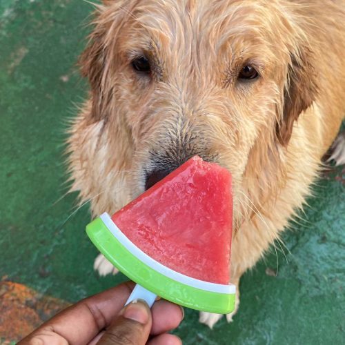 WhatsApp Image 2025-08-01 at 12.55.01